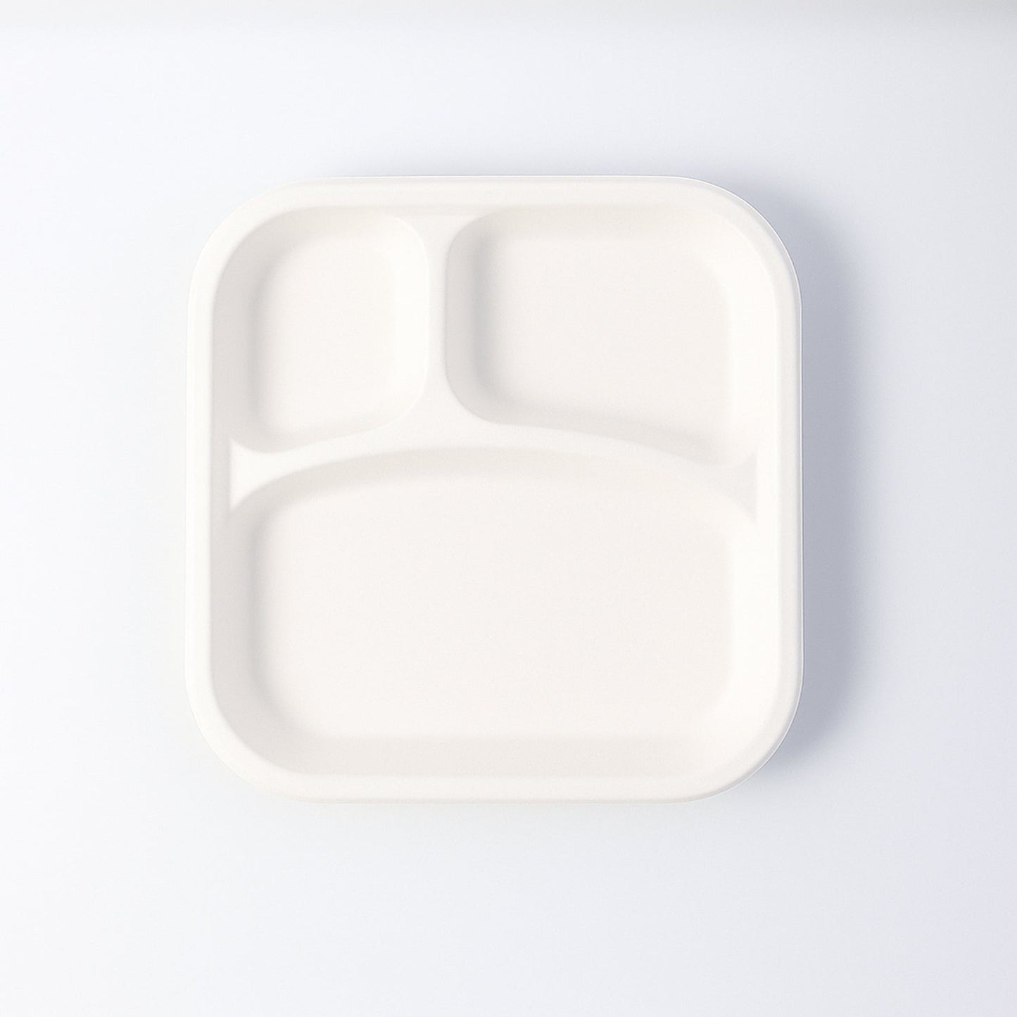 Dinner Plate