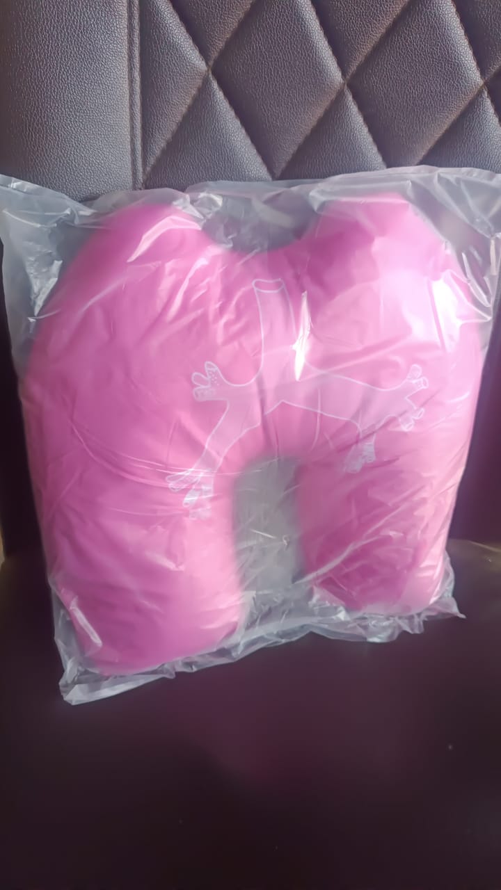 U-Shape Neck Travel Pillow (1 Pc)